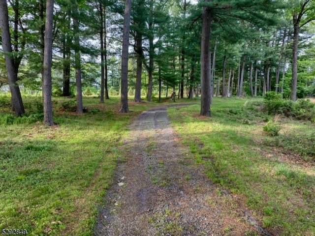 11 Wright Ln, Mendham Twp, NJ 07931