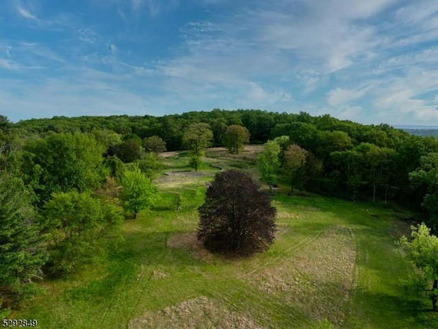 11 Wright Ln, Mendham Twp, NJ 07931