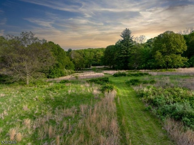 11 Wright Ln, Mendham Twp, NJ 07931
