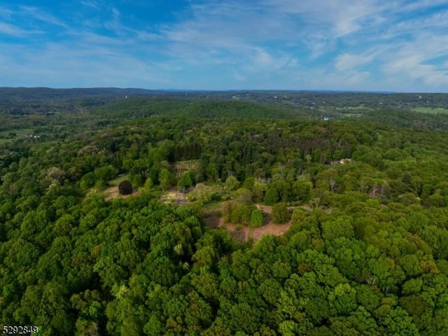 11 Wright Ln, Mendham Twp, NJ 07931