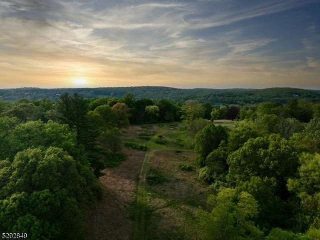 11 Wright Ln, Mendham Twp, NJ 07931