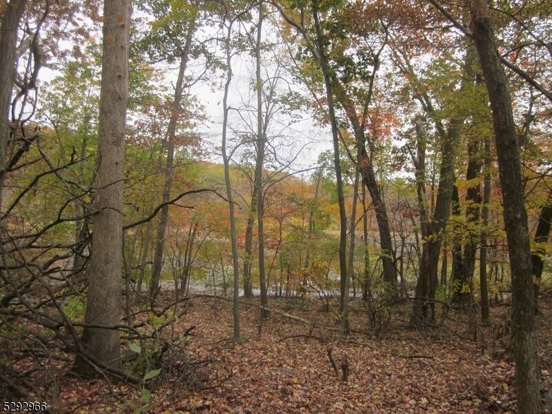 0 Oakwood Ave, West Milford Twp, NJ 07480