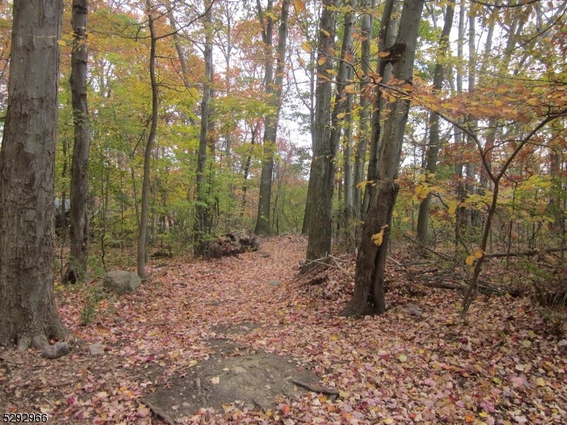 0 Oakwood Ave, West Milford Twp, NJ 07480