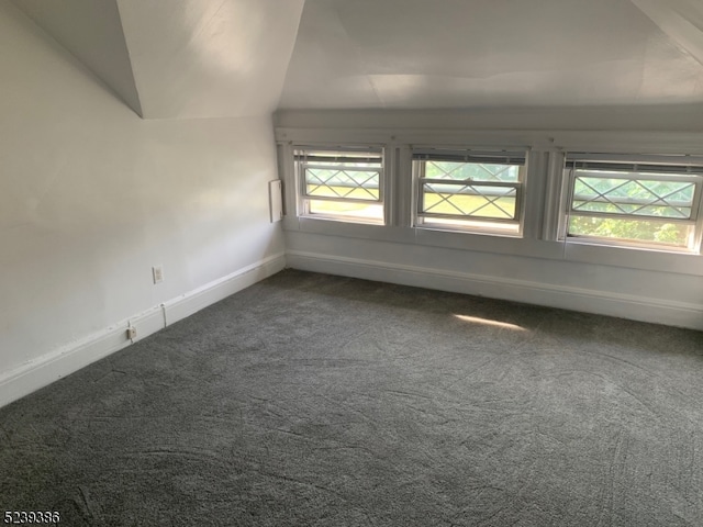 empty room with plenty of natural light, vaulted ceiling, and carpet flooring