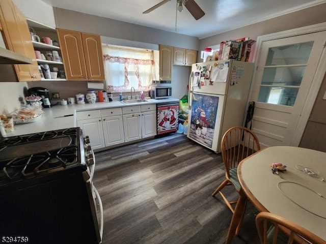 kitchen featuring sink, dark wood-type flooring, ceiling fan, and appliances with stainless steel finishes