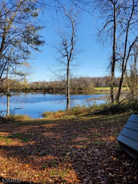 view of property view of water