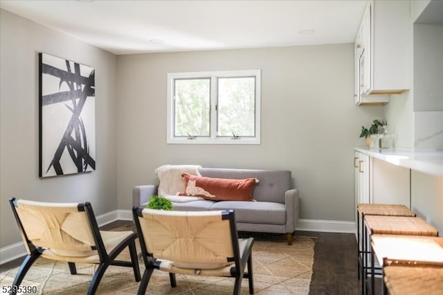 living area featuring dark wood-type flooring