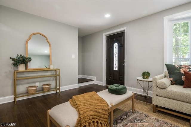 foyer featuring dark wood-type flooring