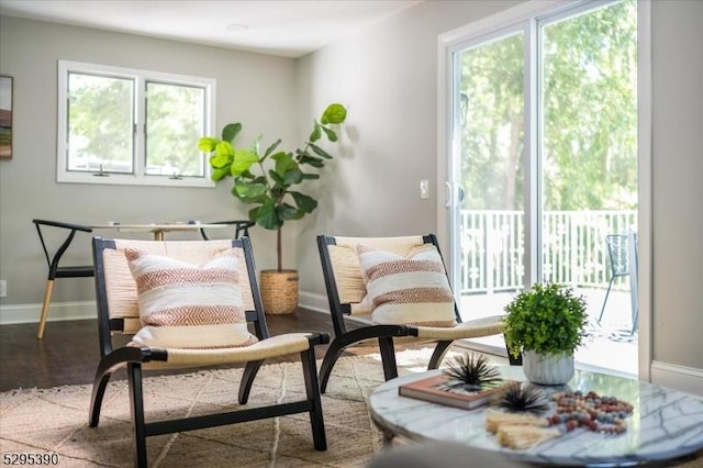 sitting room with light wood-type flooring and a wealth of natural light