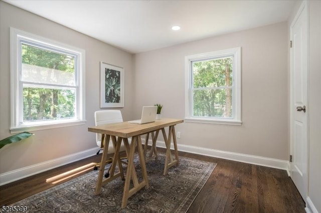 dining room featuring dark wood-type flooring