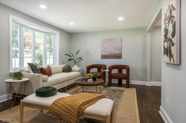 living room with dark wood-type flooring