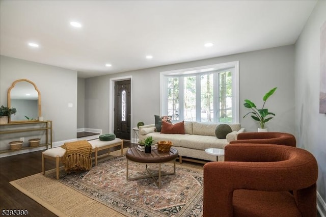 living room featuring dark hardwood / wood-style flooring