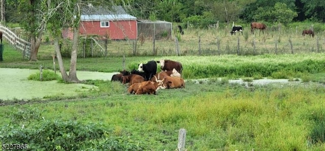 view of yard with a rural view