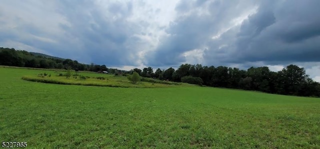 view of nature with a rural view