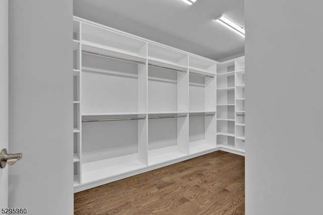 spacious closet with hardwood / wood-style flooring