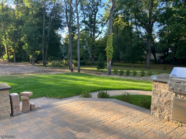 view of patio with area for grilling