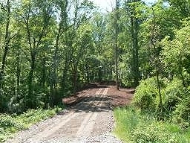 97 Hartpence Rd, Alexandria Twp NJ, 08848 land for sale