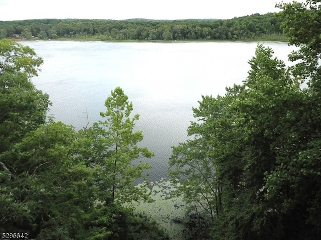 view of water feature