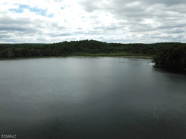 view of property view of water