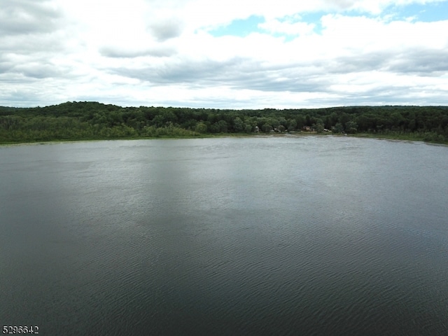 view of property view of water