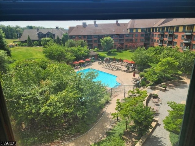 view of swimming pool featuring a patio