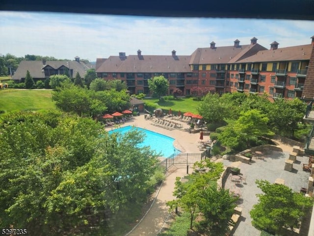 view of pool featuring a patio