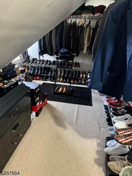 walk in closet with light colored carpet