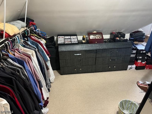 spacious closet with carpet floors