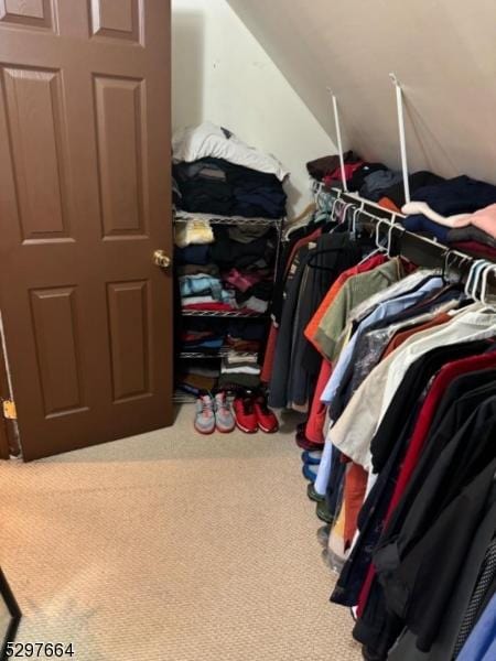 spacious closet featuring carpet floors