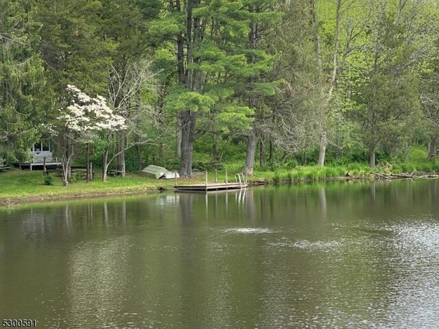 property view of water featuring a dock