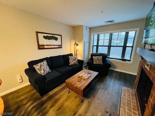 living room featuring a fireplace and dark wood-type flooring