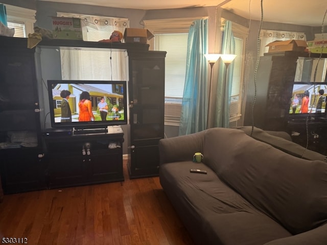 living room with wood-type flooring