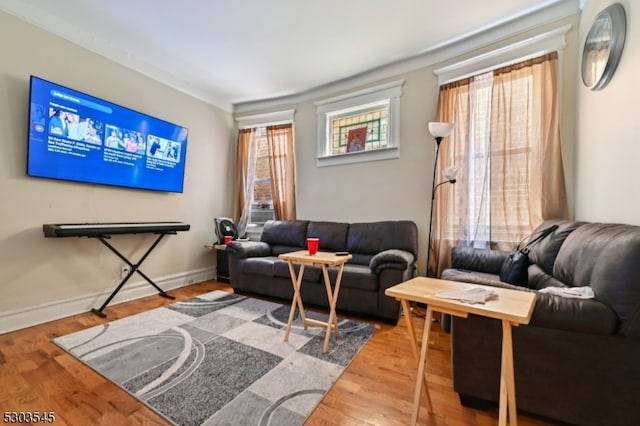 living room with wood-type flooring