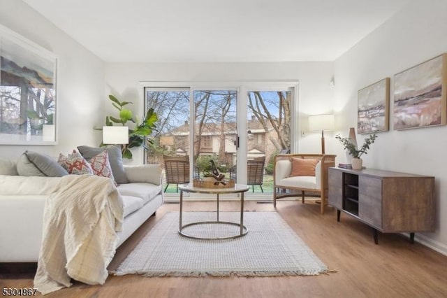 living area featuring light wood-type flooring