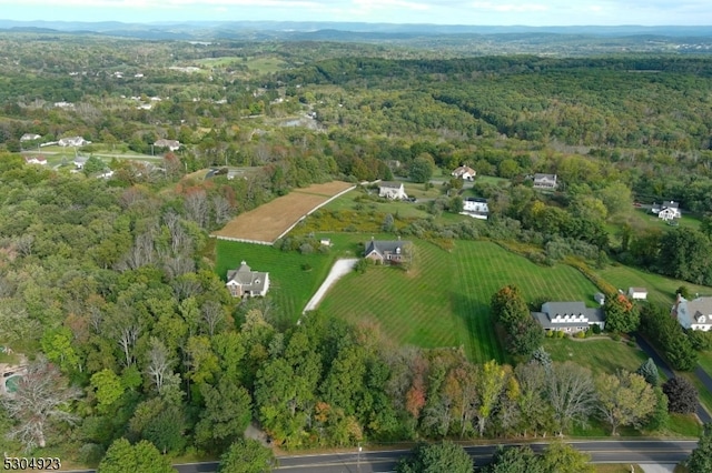 bird's eye view