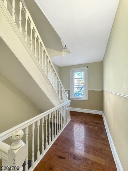 stairs with dark hardwood / wood-style floors