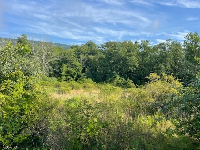 8 Gaisler Rd, Hardwick Twp NJ, 07825 land for sale