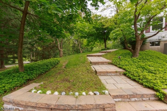 47 Sarepta Rd, White Twp, NJ 07823 - view of yard
