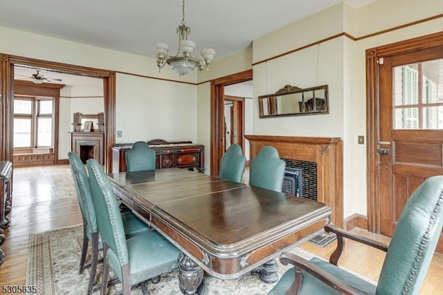 dining room featuring ceiling fan with notable chandelier and light hardwood / wood-style flooring