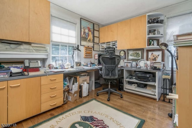 home office featuring light hardwood / wood-style flooring