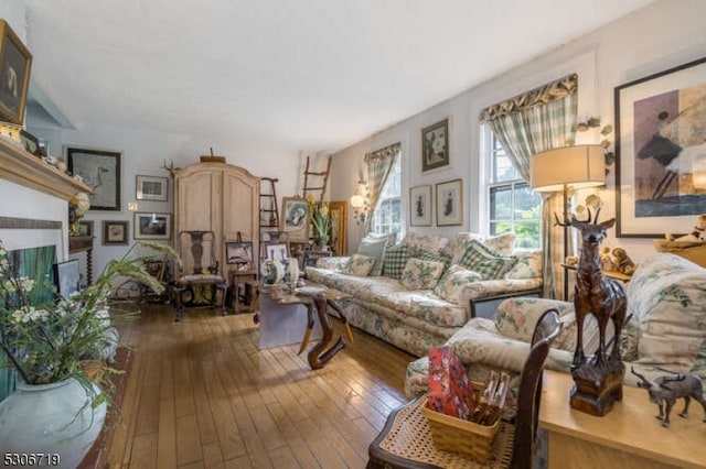 living room featuring hardwood / wood-style floors