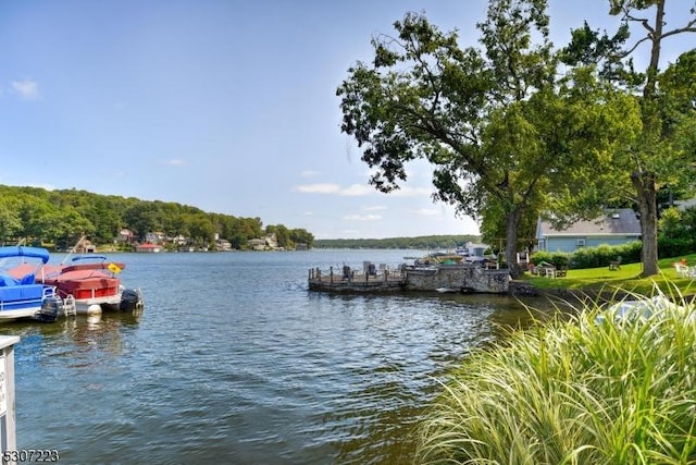 property view of water featuring a dock