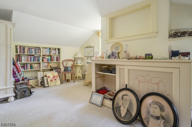 miscellaneous room with carpet flooring and lofted ceiling