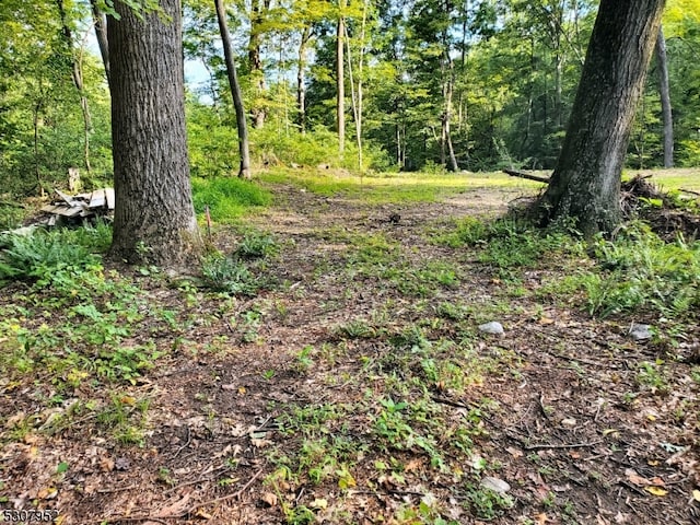 227 Shiloh Rd, Hope Twp NJ, 07825 land for sale