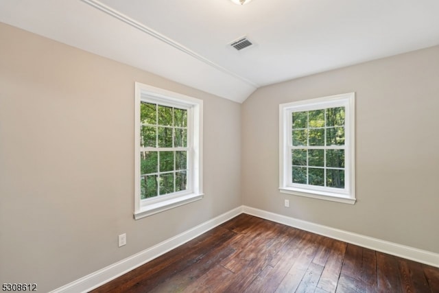 empty room featuring lofted ceiling, dark wood-type flooring, and a wealth of natural light