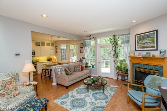 living room with a fireplace and light wood-type flooring