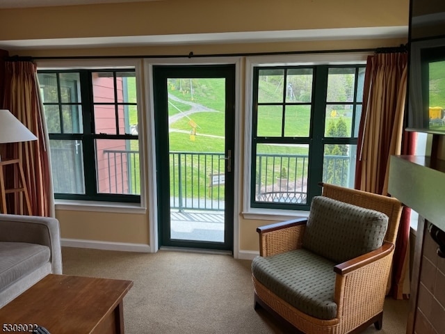 entryway featuring plenty of natural light and carpet floors