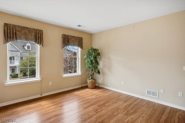 empty room with a wealth of natural light and light wood-type flooring