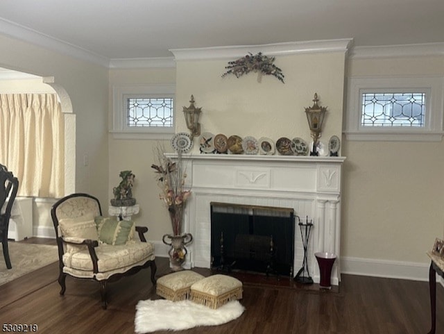 sitting room featuring dark wood-type flooring and crown molding