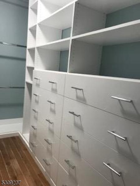 spacious closet with dark wood-type flooring